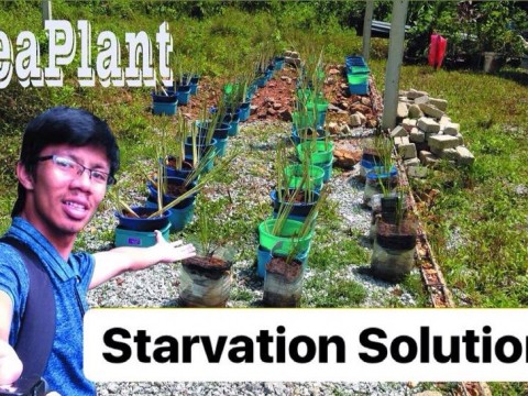 Let's Support our Student's Project - Seaplant