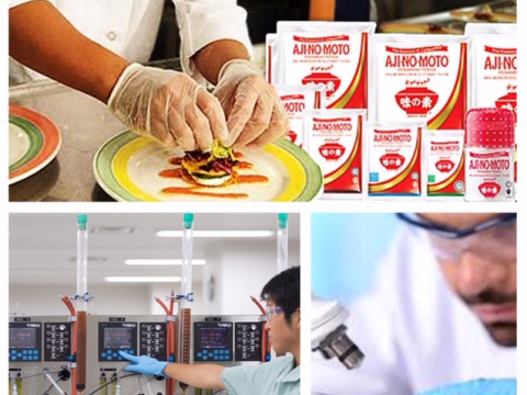 (Deadline 30 April, 2019), AJINOMOTO CO. INC. Looking for innovative research proposals